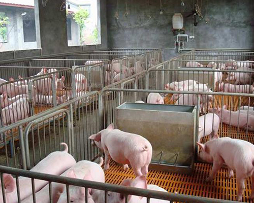 養殖場熱水解決方案